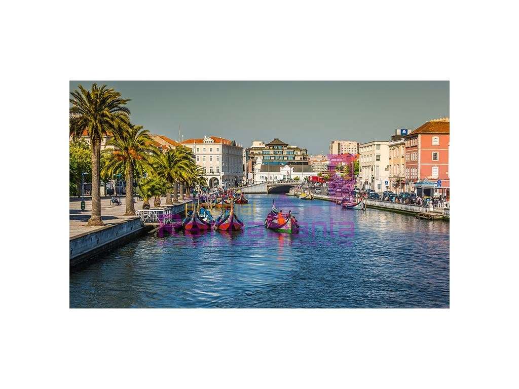 Excelente terreno para construção - Mealhada - Grande imagem: 5/10