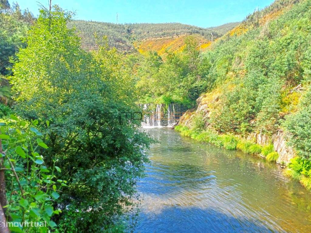 Antiga serração - Frente de Rio-41