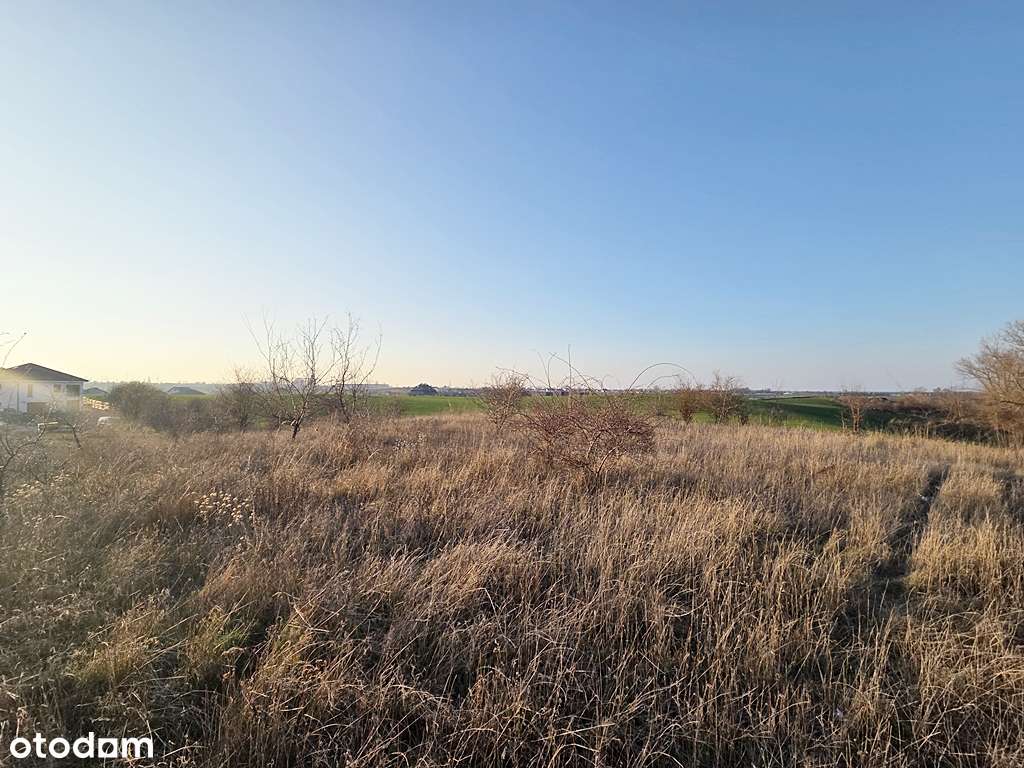 Z widokiem na panoramę miasta - Pełny obrazek: 4/14