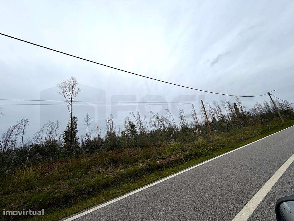 Terreno com 3 frentes para venda Albergaria - a - Velha - Grande imagem: 2/21
