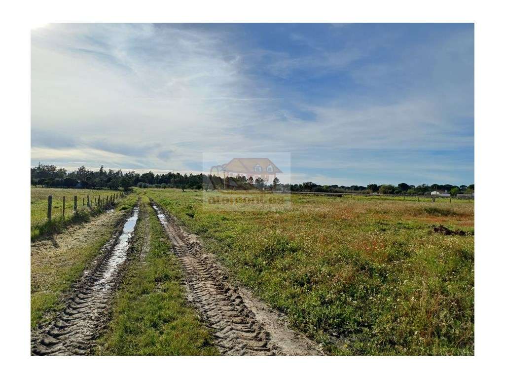 Quinta com magnífica casa e piscina-7