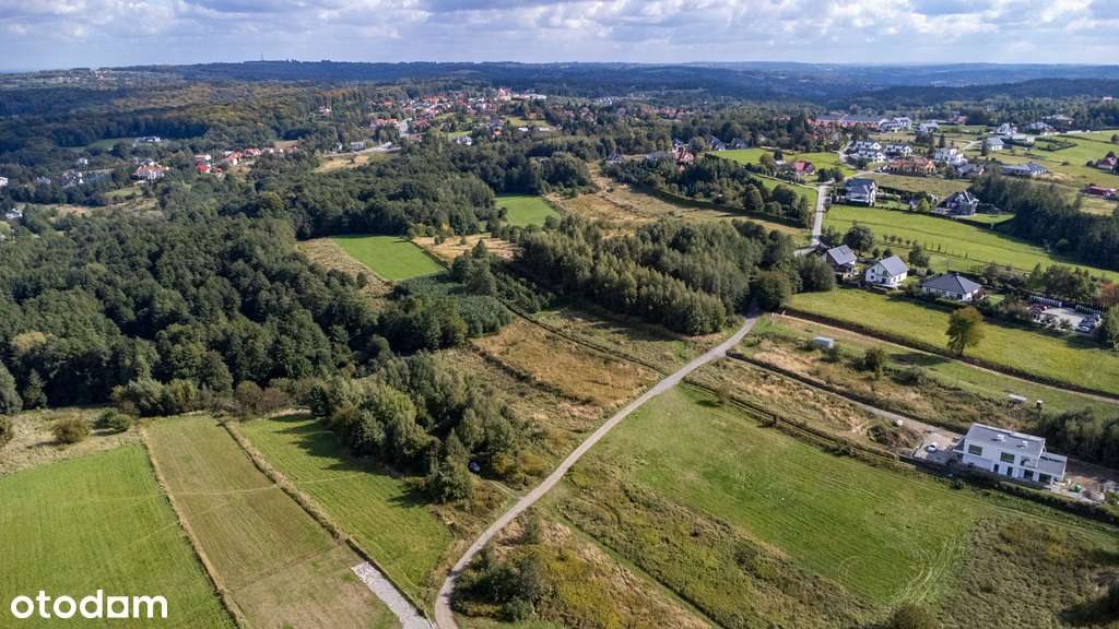 Widokowa działka z WZ - 7000m2 | Matysówka - Pełny obrazek: 4/14