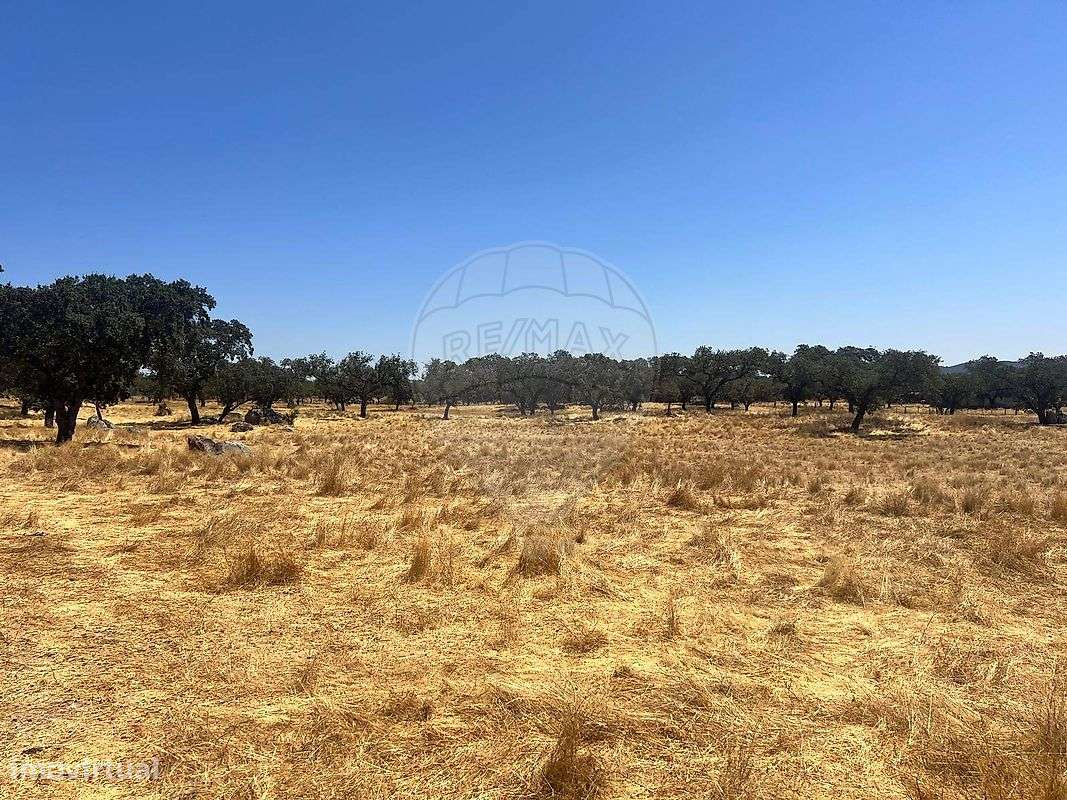 Quinta  para venda - Grande imagem: 4/15