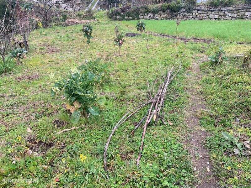 Terreno / Baião, Teixeira e Teixeiró - Grande imagem: 2/10