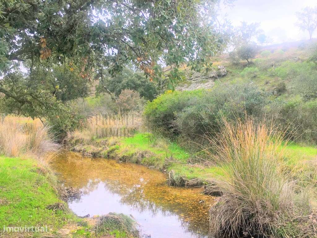 Quinta com uma ribeira e uma vista fantástica em Vila Nova de S. Be... - Grande imagem: 2/60