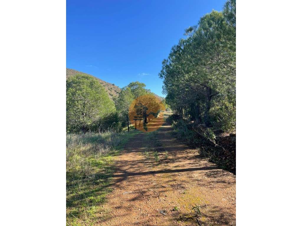 TERRENO COM 59.680 M² - COM POSSIBILIDADE DE CONSTRUÇÃO - HABITAÇÃO... - Grande imagem: 4/29