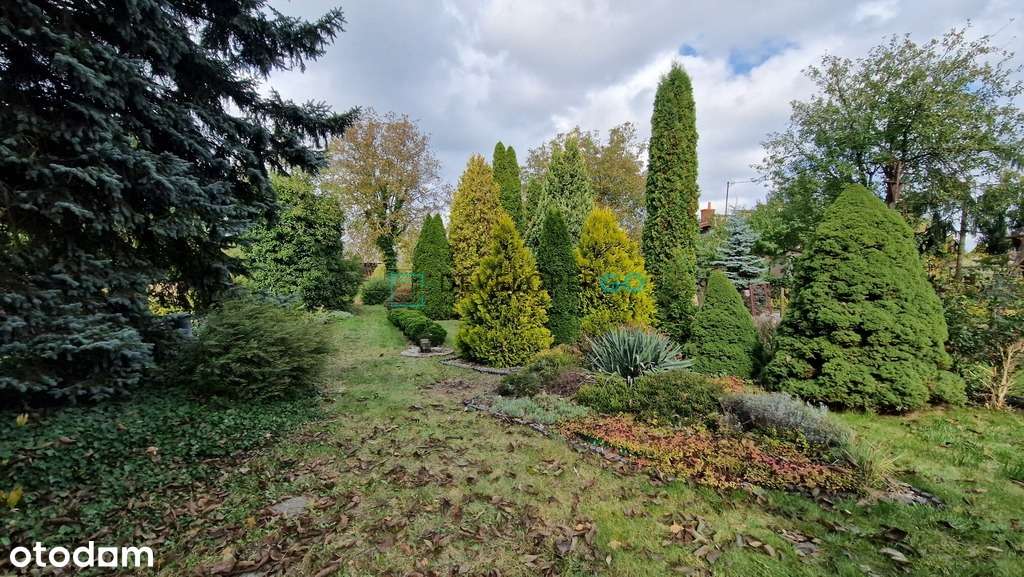 Dom z potencjałem na pięknej działce w Dęblinie - Pełny obrazek: 4/9