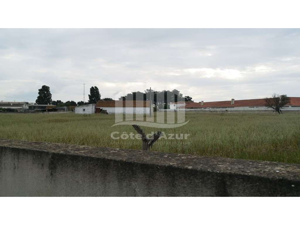 Terreno para construção de 5 moradias - Grande imagem: 3/6