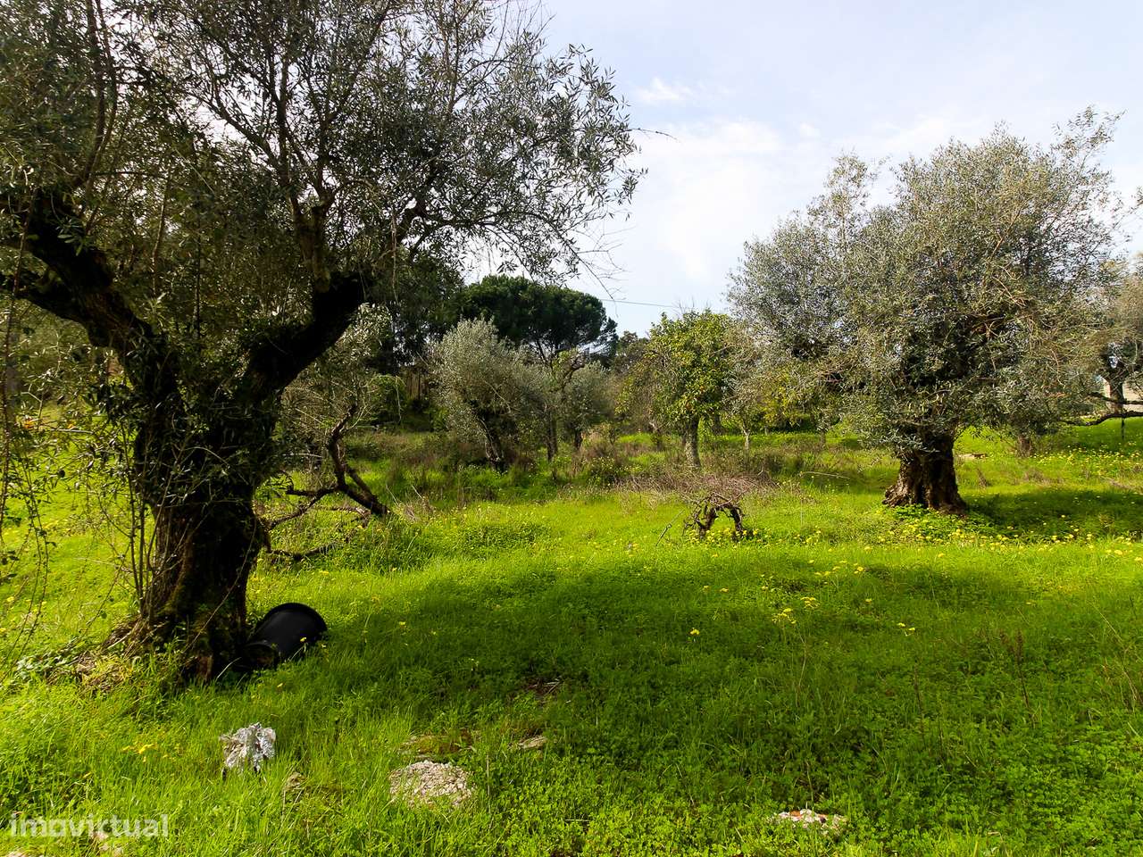 Terreno com cerca de 1 Hectare-6