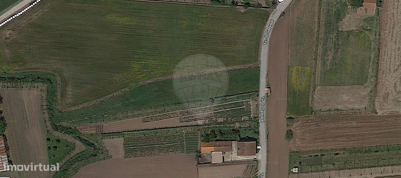 Terreno  para venda - Grande imagem: 4/4