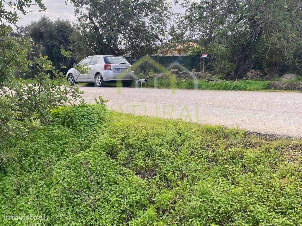 Terreno Rústico Totalmente Plano em Peral, Estoi - Grande imagem: 2/2