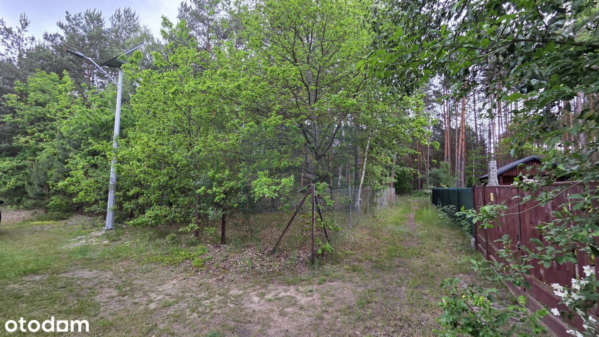 Działka na sprzedaż, Łęg, gmina Kruszyna - Pełny obrazek: 5/9