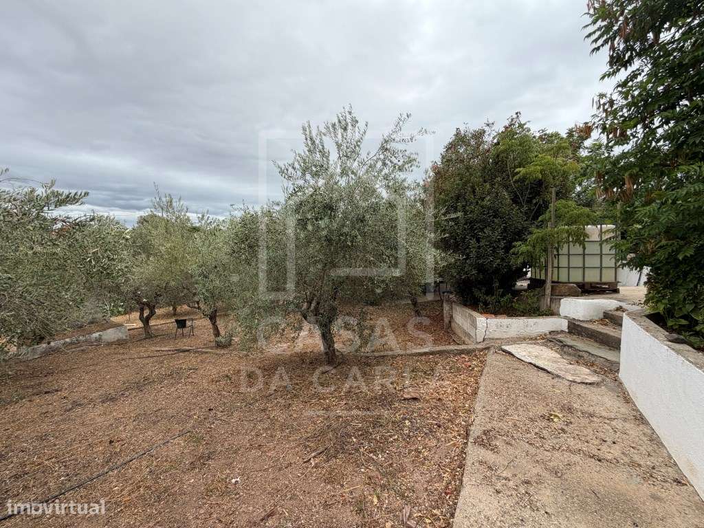 Propriedade T3 com Anexo T1+1 completamente renovada e jardim com 1...-9