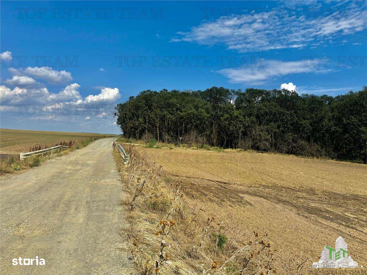 Teren de vanzare lotizat la padure cu utilitati in Frumusani  Calarasi - Imagine principală: 2/5