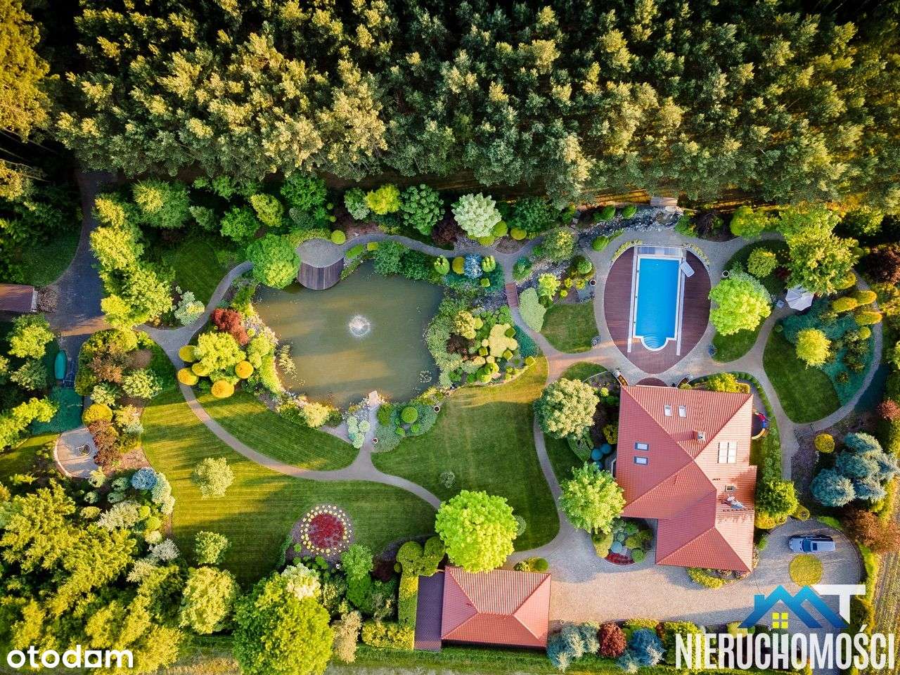 Posiadłość w lesie, ogród, basen, Czarne Błoto - Pełny obrazek: 4/20