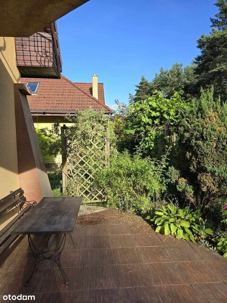 Dom z własnym lasem w Kochlicach-2