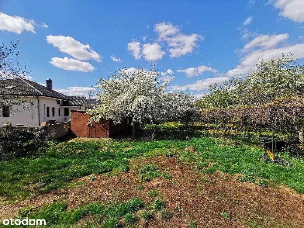 Dom w centrum Pleszewa, duża działka, sad - Pełny obrazek: 5/20