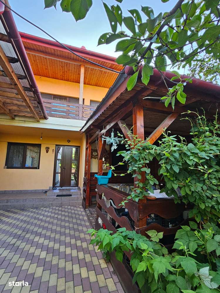 Vila de vanzare Andronache-0