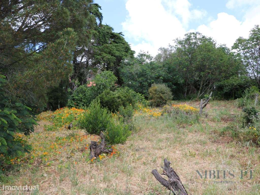 À VENDA: Lote com vista mar em Malveira da Serra - localização elev...-6