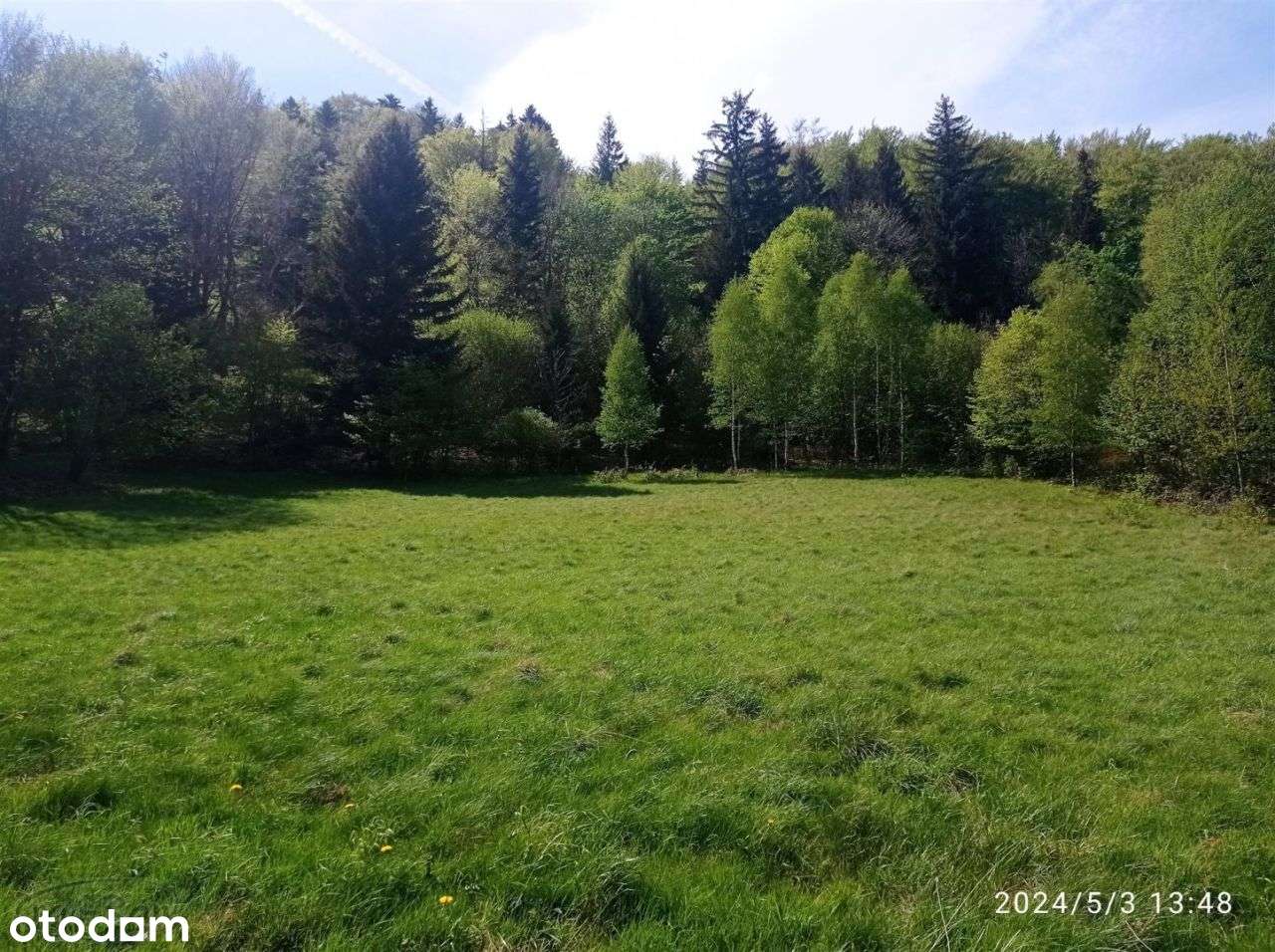 Niezalewowa działka budowlano-inwestycyjna