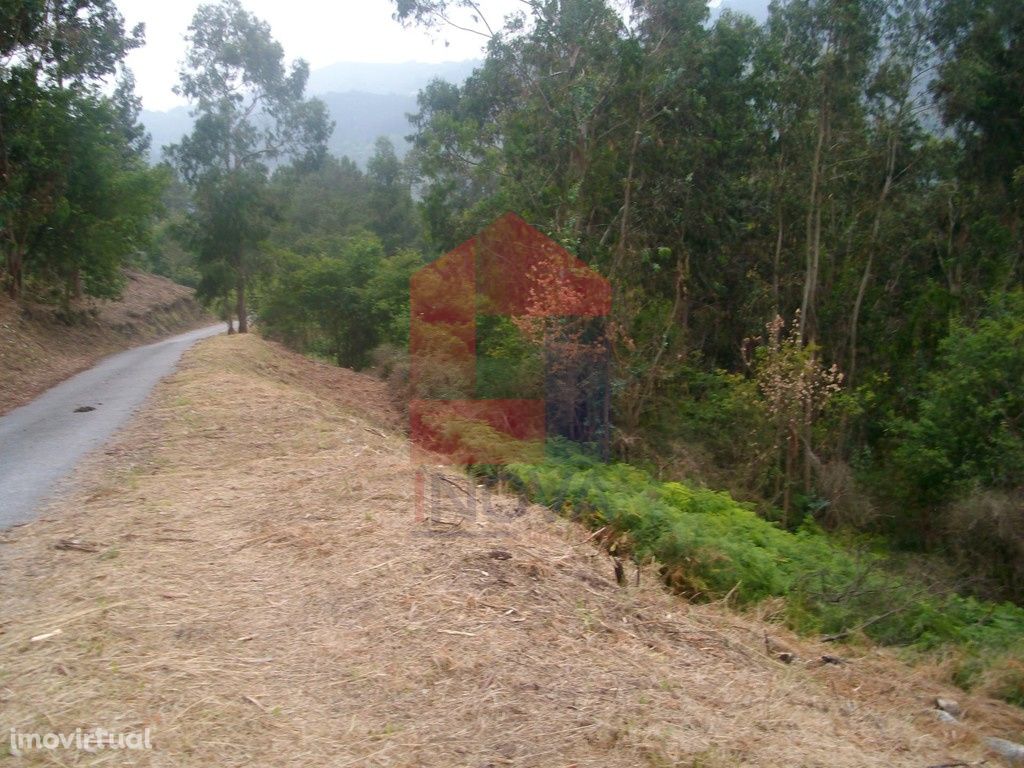 Terreno agrícola, Aboim da Nóbrega