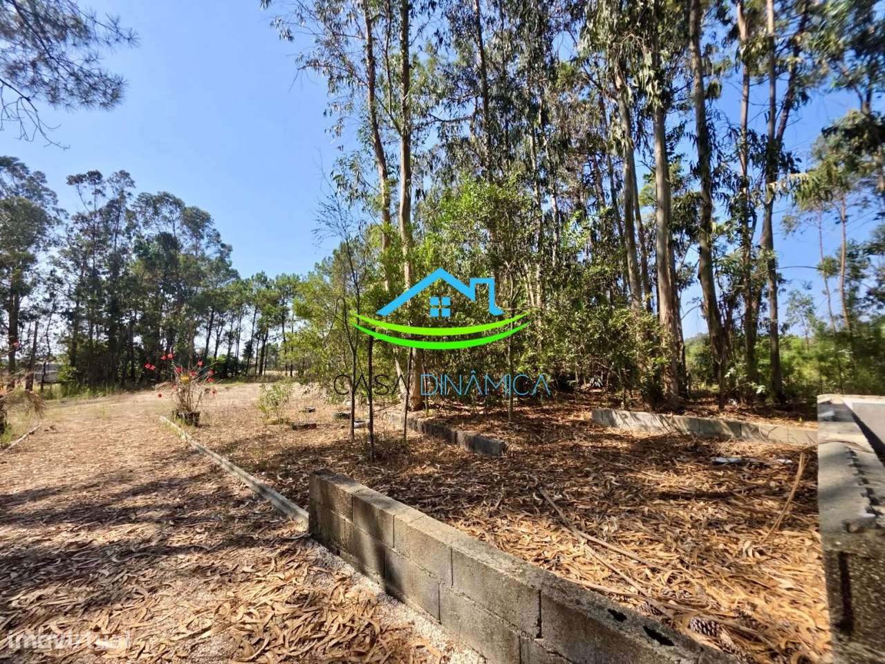 Terreno com 8.369 m² e possibilidade de construção – Arazede, Mon-15