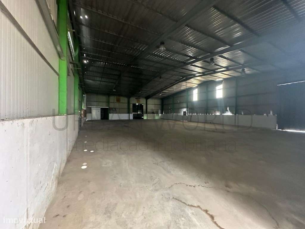 Armazém, Salvaterra de Magos - Santarém, 3.026 m2-17