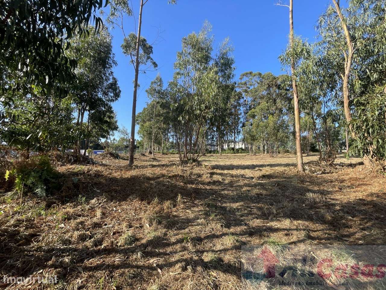 Excelente Terreno P/Construção em Altura-24