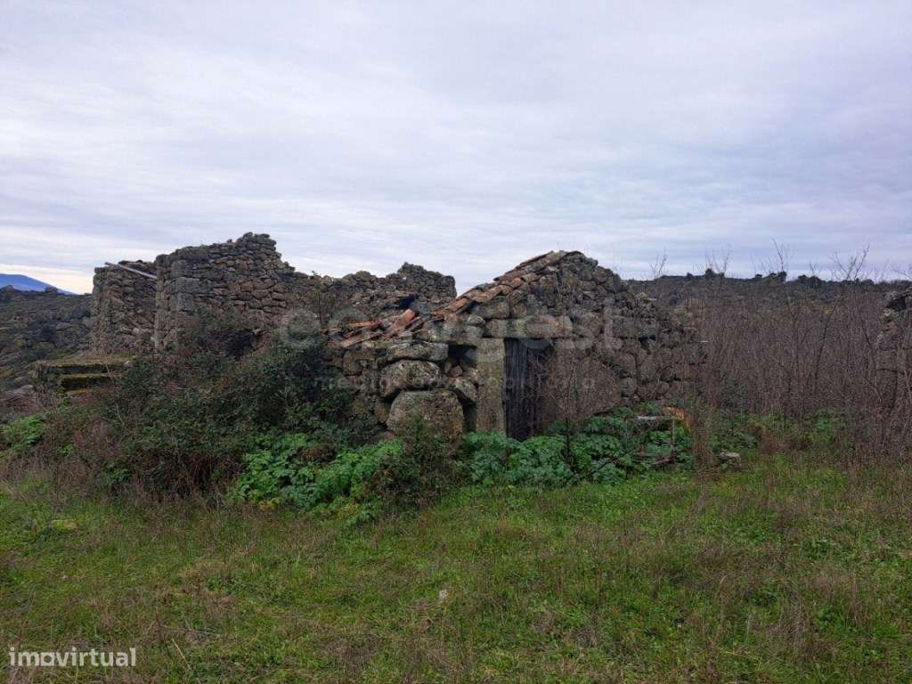 Quinta do Peso, com vista para o rio Sabor - Grande imagem: 3/13