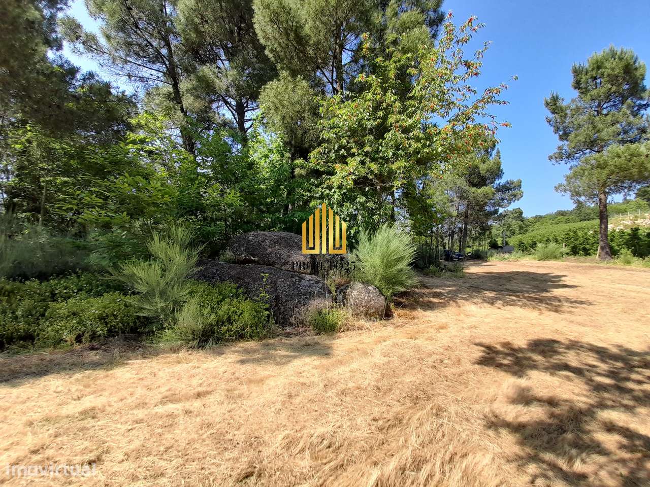 Terreno único com 21.500 m² Zona Vinhateira - Projeto Turístico-37