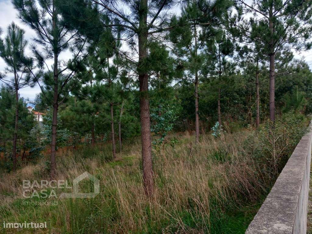 Oportunidade única em Alvelos - Barcelos! - Grande imagem: 4/5