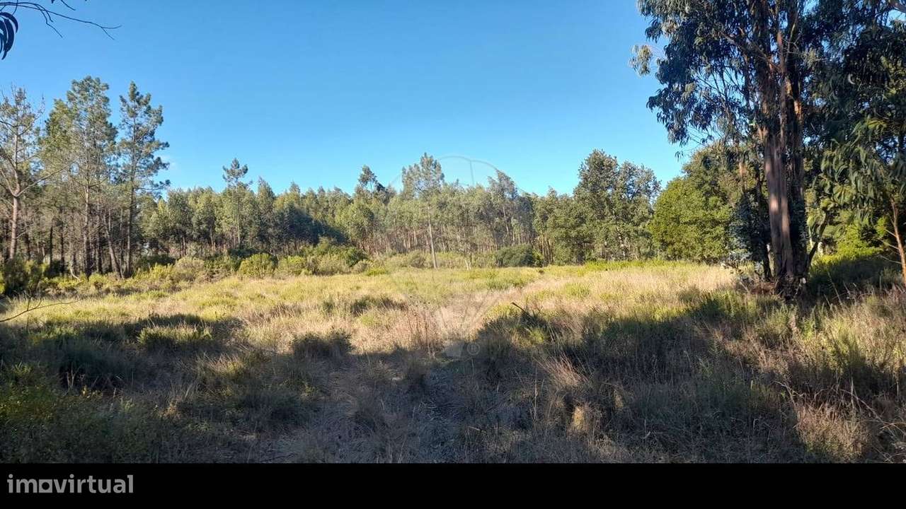 Terreno  para venda - Grande imagem: 5/6