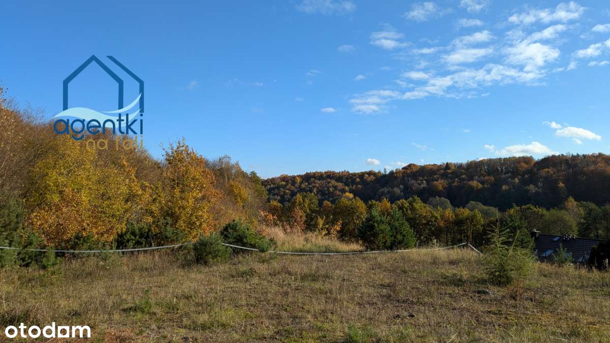 Piękna, nasłoneczniona działka 30 min od Trójmiast - Pełny obrazek: 4/4
