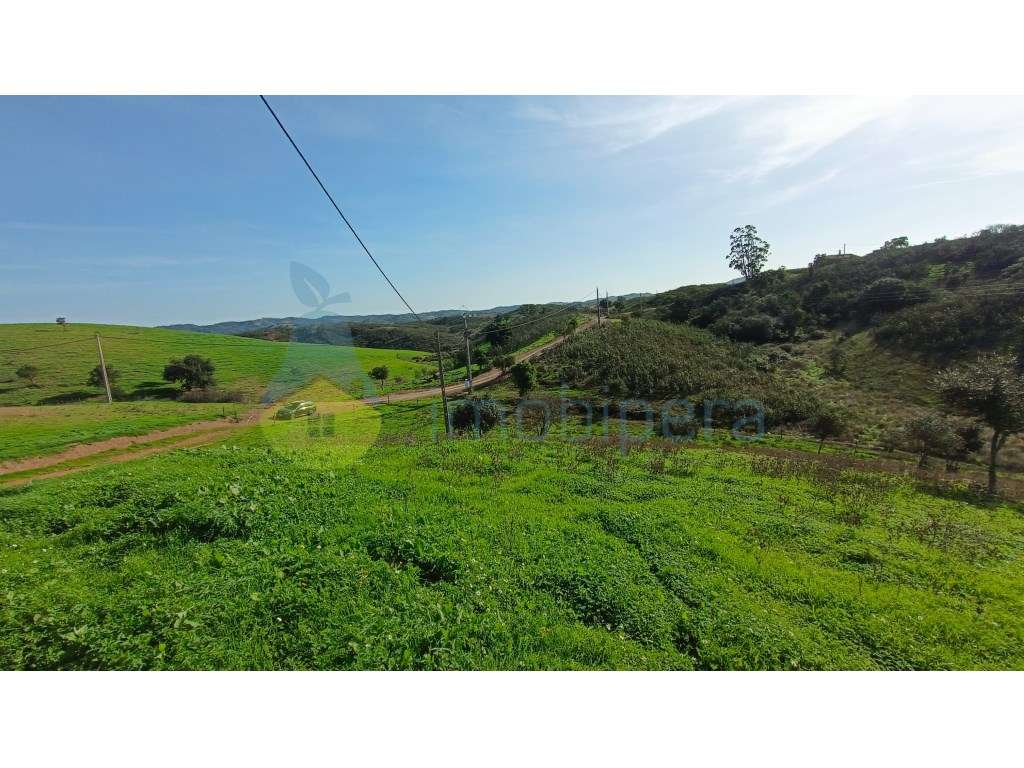 Casa para reconstrução com terreno de 35750m2 - Grande imagem: 5/13