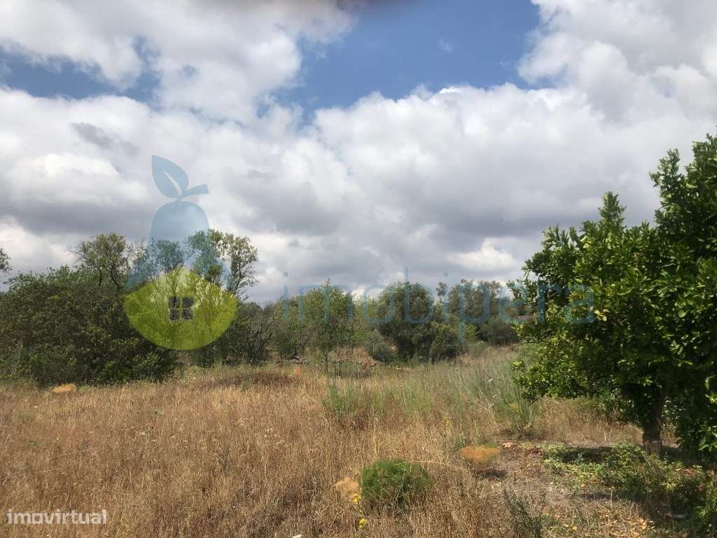 TERRENO RÚSTICO ZONA AGRÍCOLA - Grande imagem: 2/4