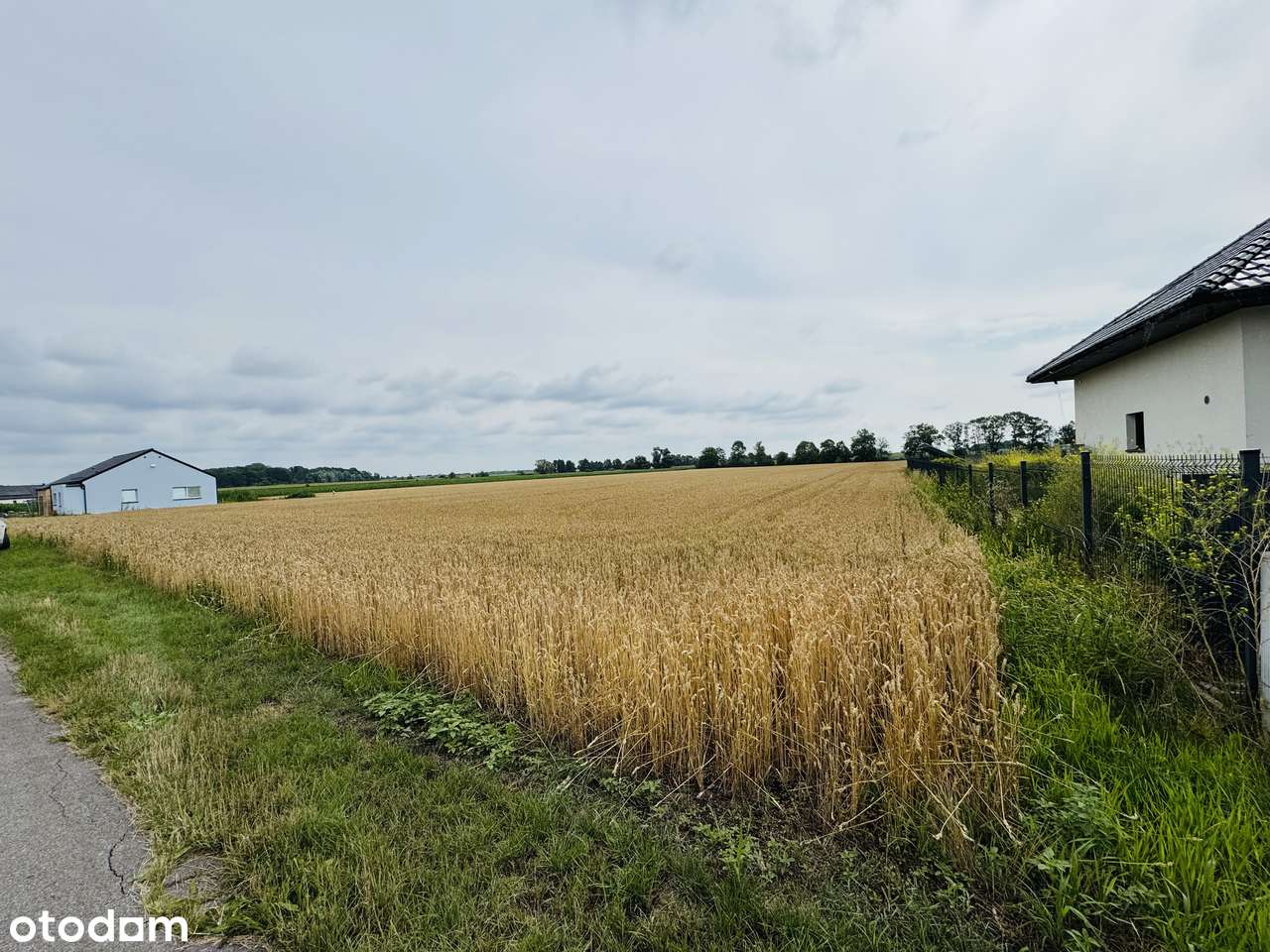 Wierzbice, działka budowlano-rolna o pow. 1,3 ha,-0