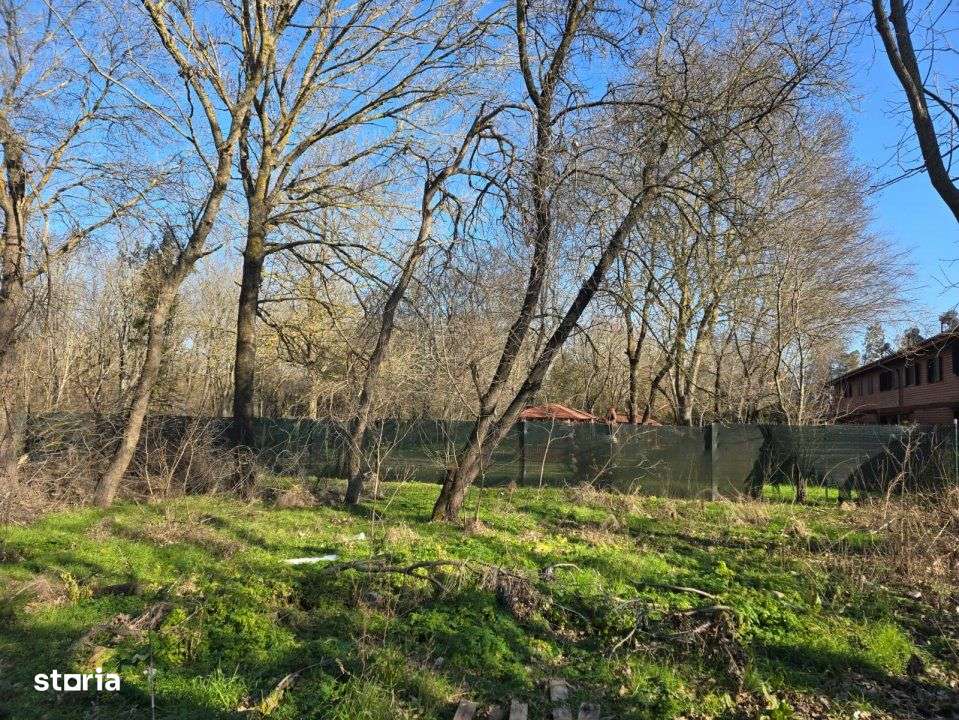 Neptun - Teren construibil in Padurea Comorava-5