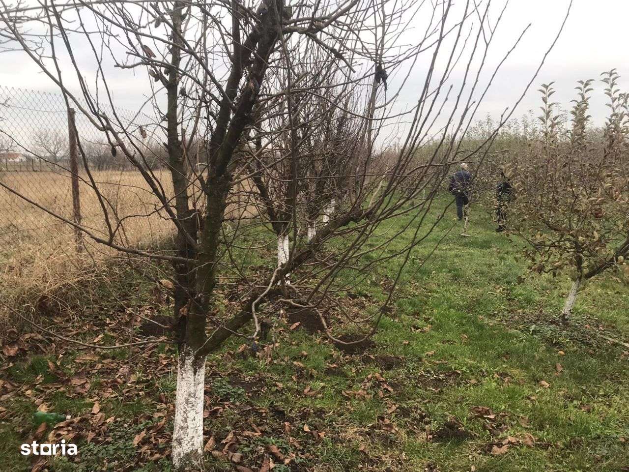 Alios - Teren Intravilan - 1470Mp - Imagine principală: 2/6