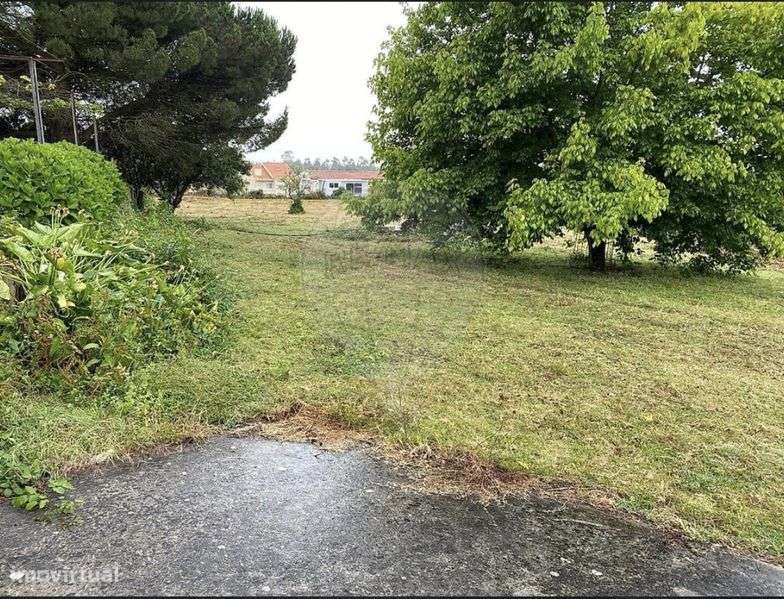 Quinta do Calvário – Grijó, Vila Nova de Gaia - Grande imagem: 4/12