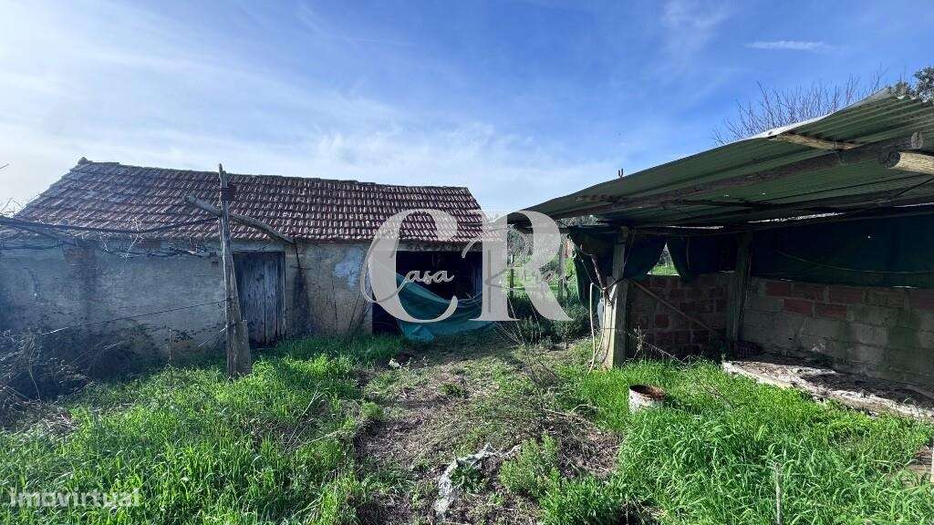 Quinta com casas de pedra para recuperar, poço e furo-22