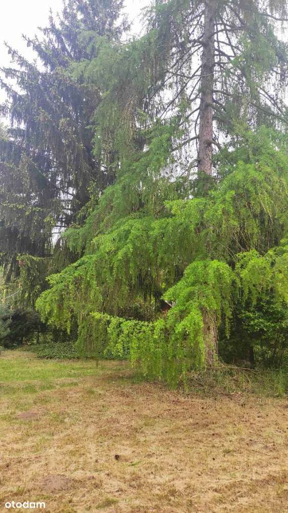 Działka 1037m2 Smochowice, Kiekrz , Krzyżowniki-8