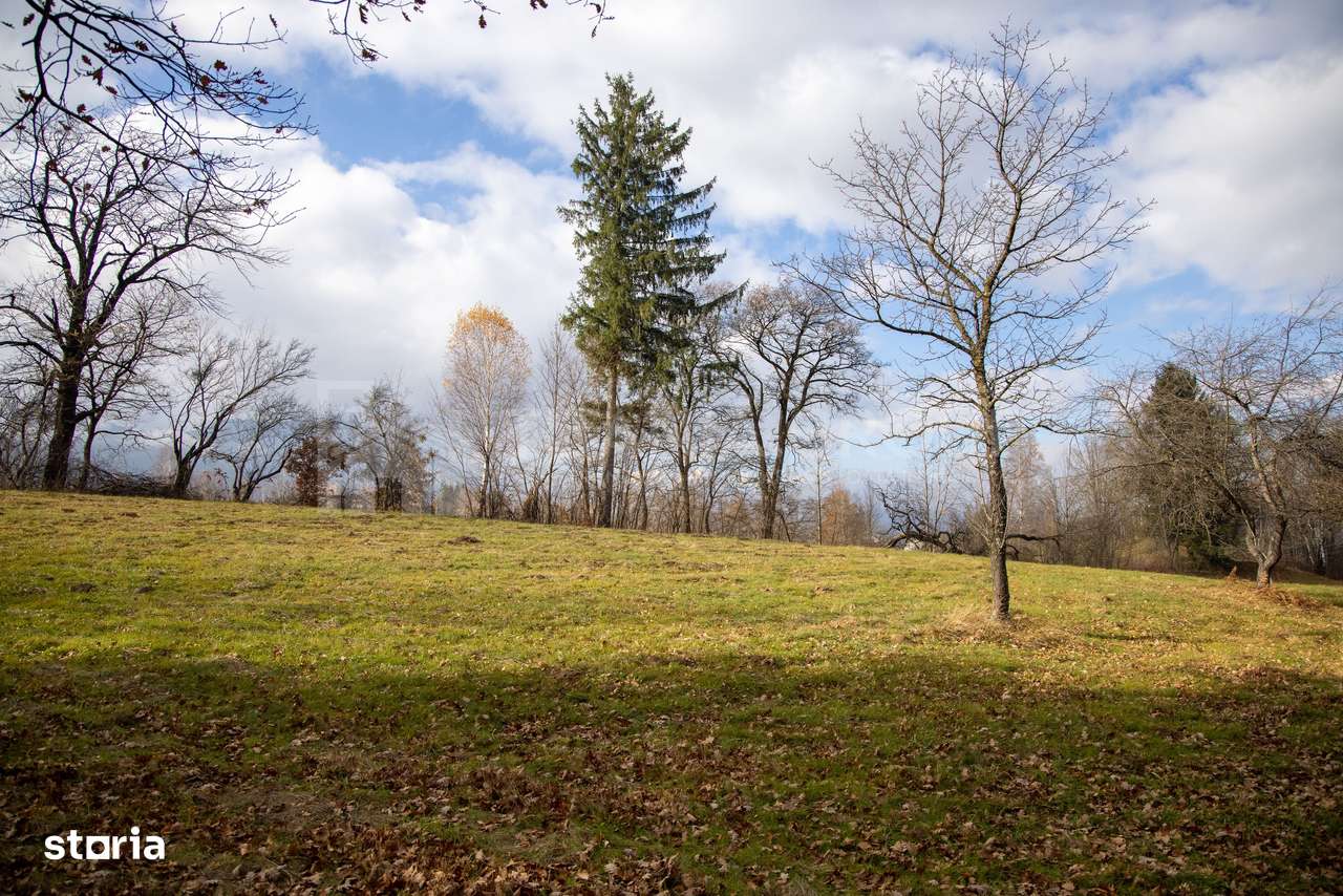 Teren intravilan, cu PUZ, Bran Tohanita,  SE ACCEPTĂ ȘI SCHIMB-18