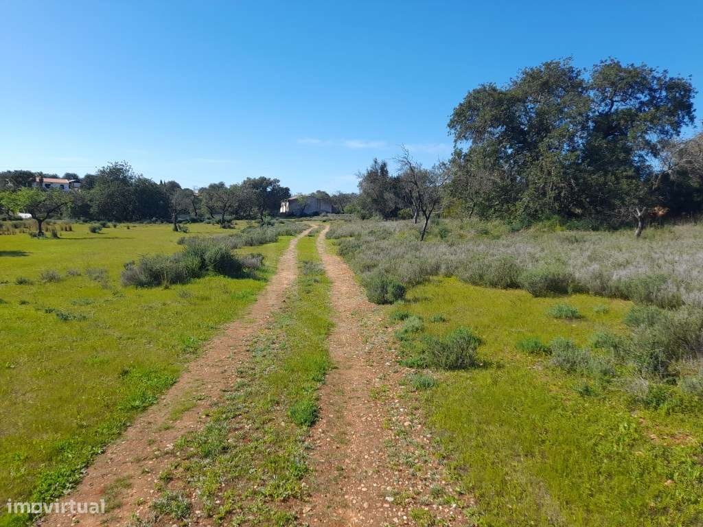 Terreno com vista mar e projeto aprovado para moradia, Santa Bárbar... - Grande imagem: 2/24