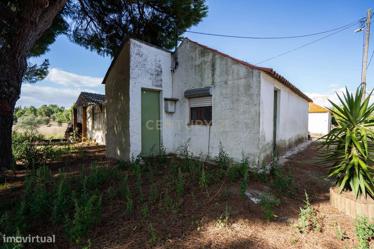 MORADIA C/ TERRENO 5 HA | FOROS DE ALMADA | PROJECTO APROVADO - Grande imagem: 4/34