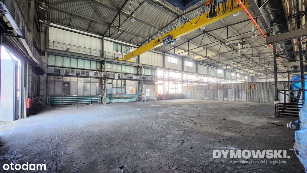 Kłobuck, ul. Poprzeczna | Hala z suwnicą - Pełny obrazek: 5/16