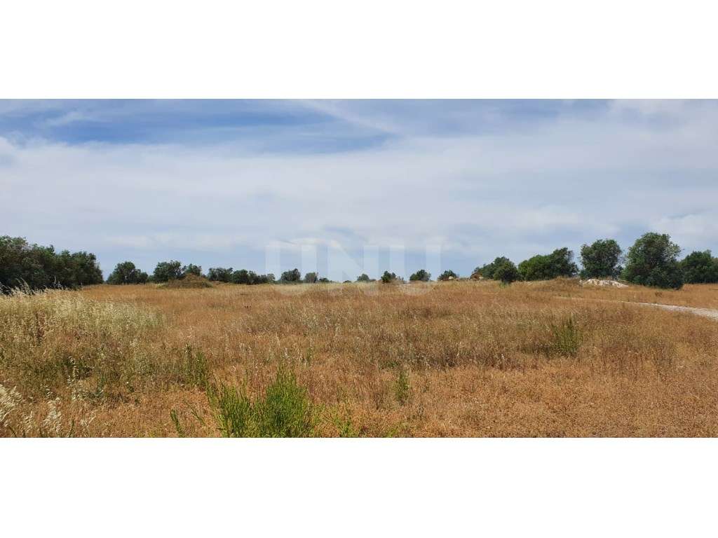 Terreno em Reguengos de Monsaraz-5