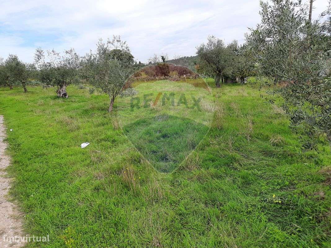 Terreno  para venda - Grande imagem: 5/10