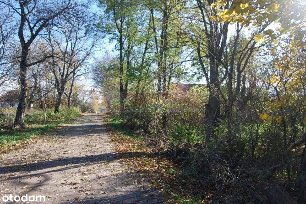 Siedlisko w cichej i spojnej okolicy-2