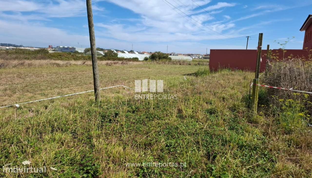 Venda de Lote c/ 803 m2 p/ construção de moradia, Aver o mar,P. Varz - Grande imagem: 4/12