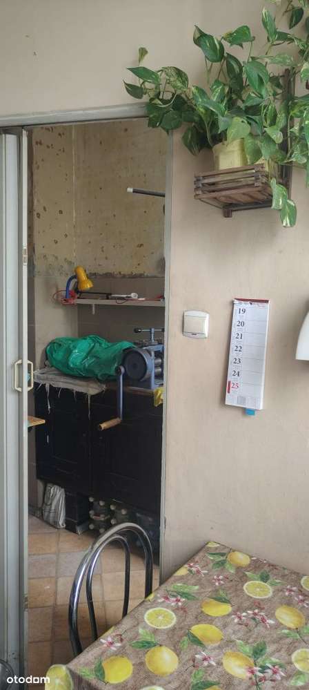 Przepiękne mieszkanie w kamienicy przy Królikarni-3